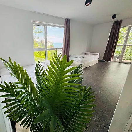 Case de vacanță House Cabacum *
